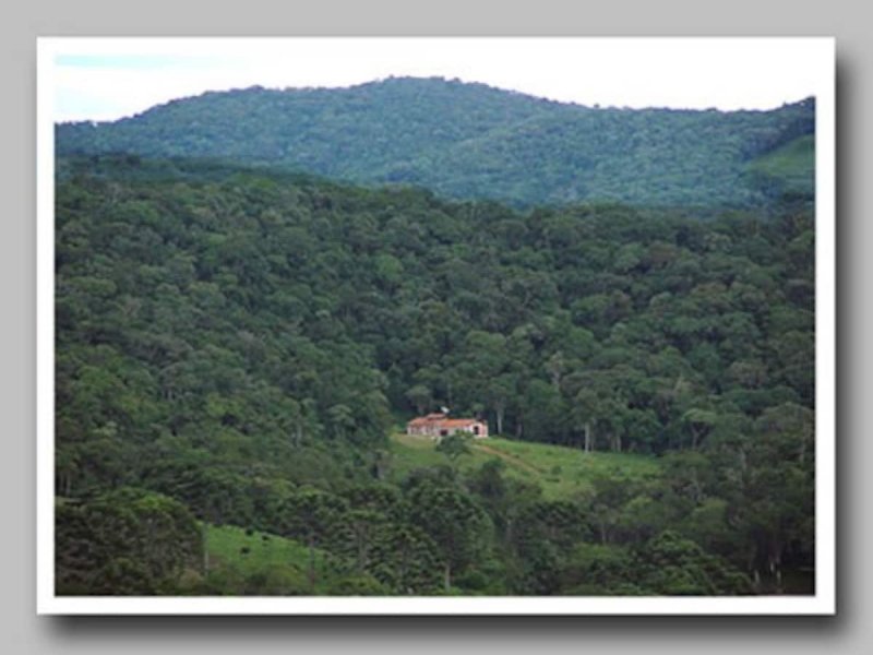 imóvel com 41930m² - Sertão do Cantagalo - Gonçalves