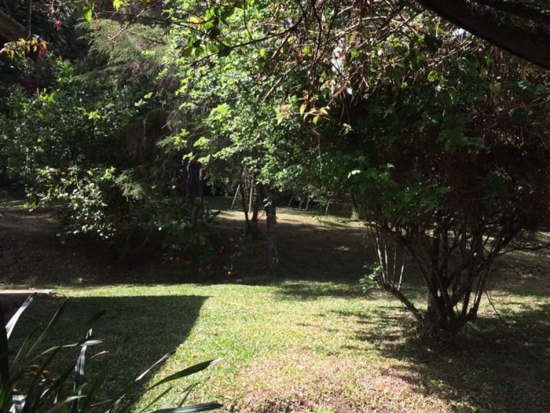 imóvel com 41930m² - Sertão do Cantagalo - Gonçalves