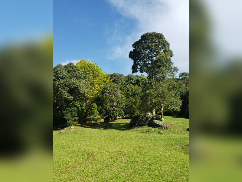 imóvel com 41930m² - Sertão do Cantagalo - Gonçalves
