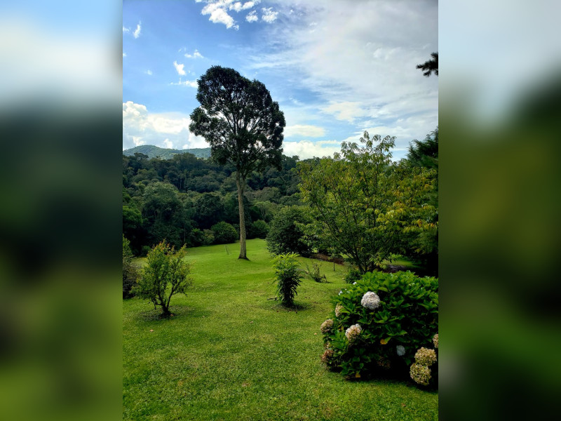 imóvel com 41930m² - Sertão do Cantagalo - Gonçalves
