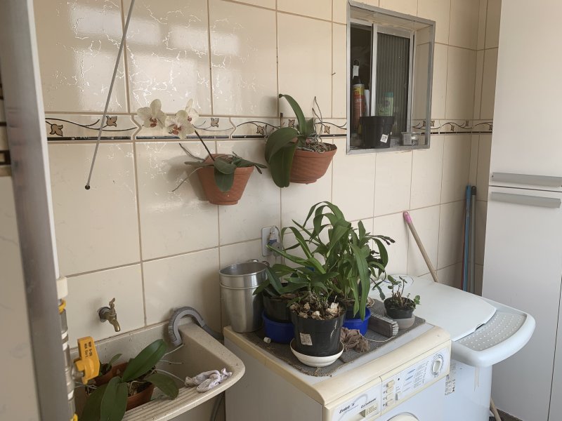 imóvel com 49m² - Itaquera - São Paulo