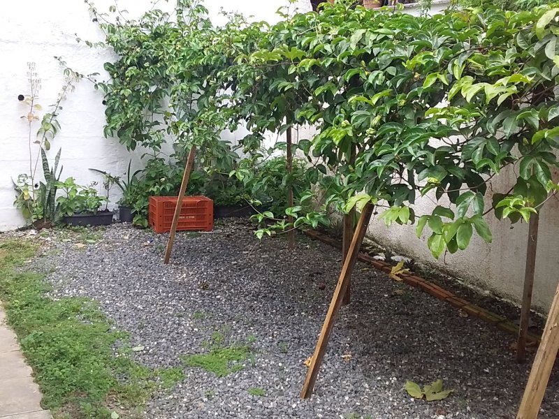 Casa à venda Água Verde com 330m² e 3 quartos por R$ 310.000 - 753137145-20201120-140556.jpg