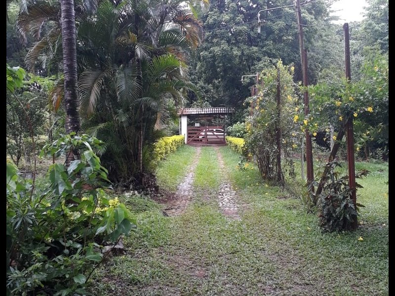 Sítio à venda Charneca com 4000m² e 5 quartos por R$ 1 - 884253664-entrada-sitio-real.jpg