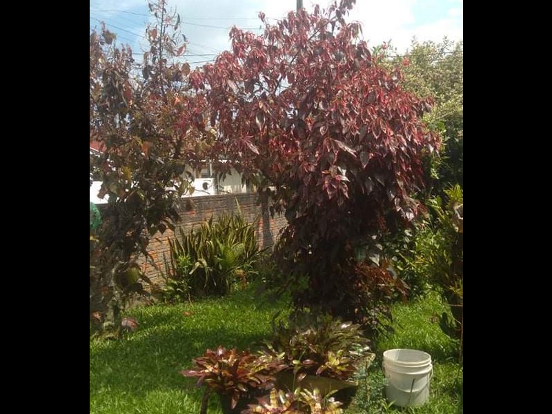 Terreno à venda Tapera com 360m² e  quartos por R$ 250.990 - 2028922814-received-360676538364585.jpeg