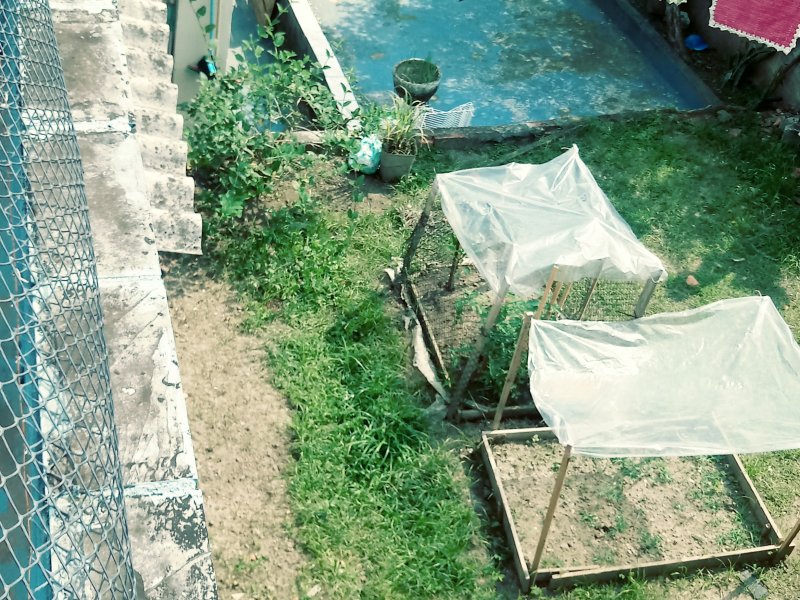 Casa à venda Vila Gonçalves com 420m² e 3 quartos por R$ 1.300.000 - 410619631-20201109-140242-film3.jpg