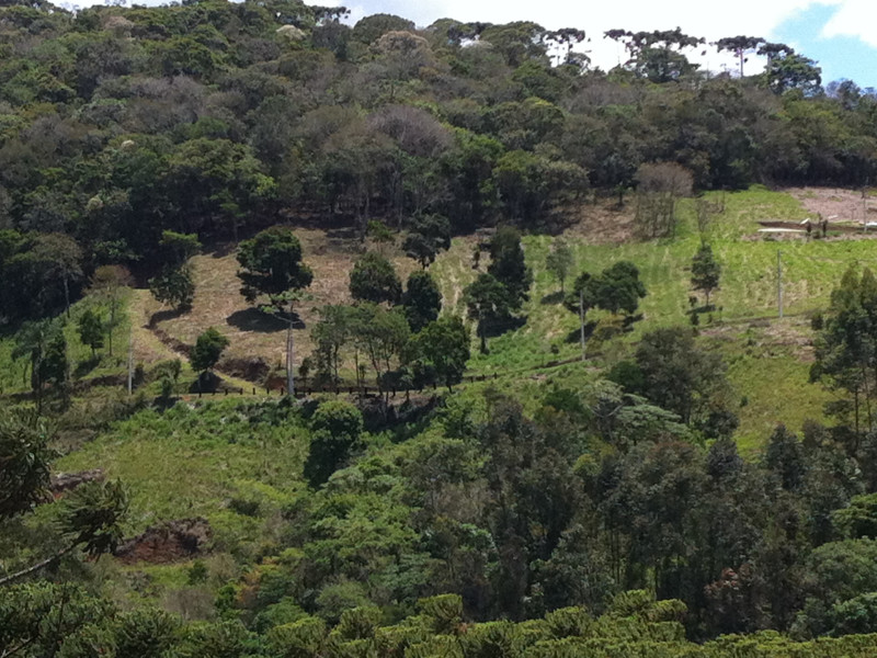 Terreno à venda Rio Preto com 2732m² e 1 quarto por R$ 440.000 - terreno-do-morro-em-frente.JPG