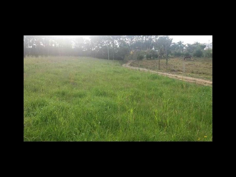 Chácara à venda Colônia Murici com 25000m² e 2 quartos por R$ 1.400.000 - 183539492-425009696092478.jpg