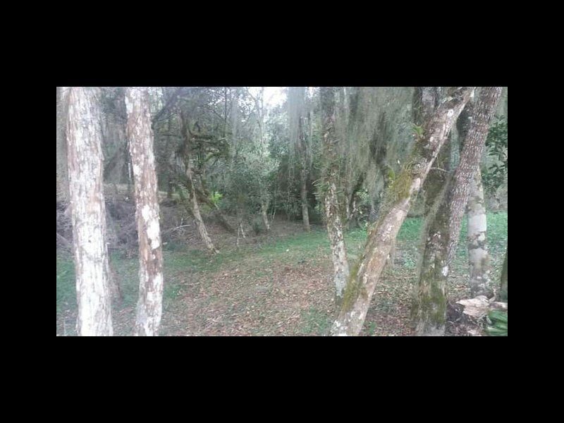 Chácara à venda Colônia Murici com 25000m² e 2 quartos por R$ 1.400.000 - 282822877-427066217339938.jpg