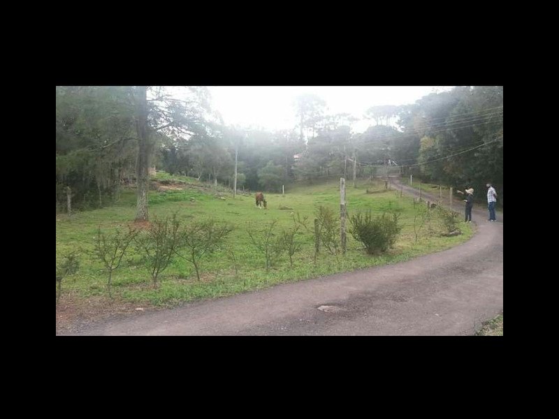 Chácara à venda Colônia Murici com 25000m² e 2 quartos por R$ 1.400.000 - 62079442-422063693173657.jpg