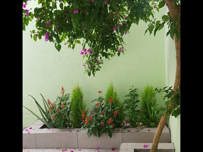 imóvel com 175m² - Nova Atibaia - Atibaia