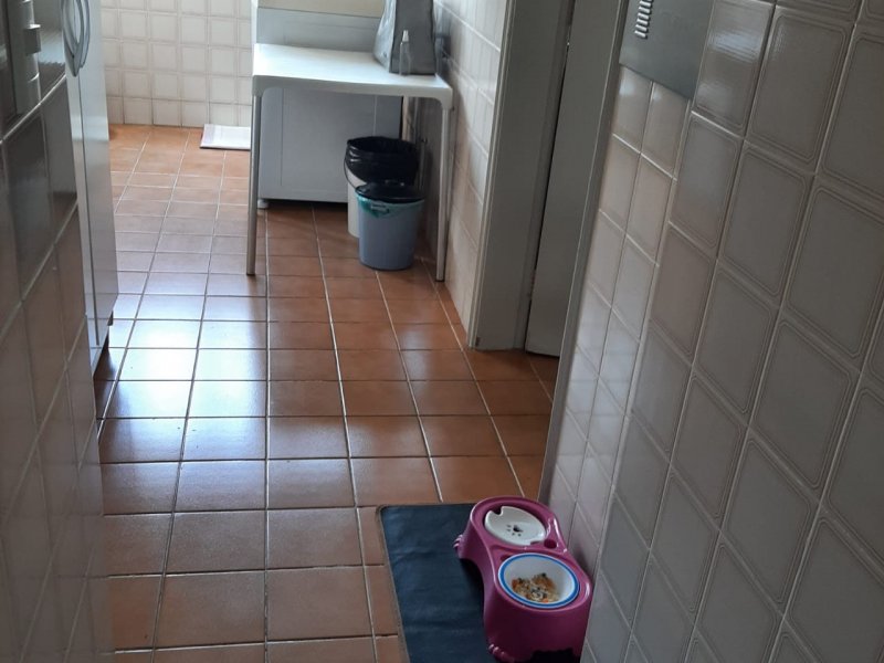 Apartamento à venda Vila Mascote com 117m² e 3 quartos por R$ 780.000 - 318974953-area-servico.jpg