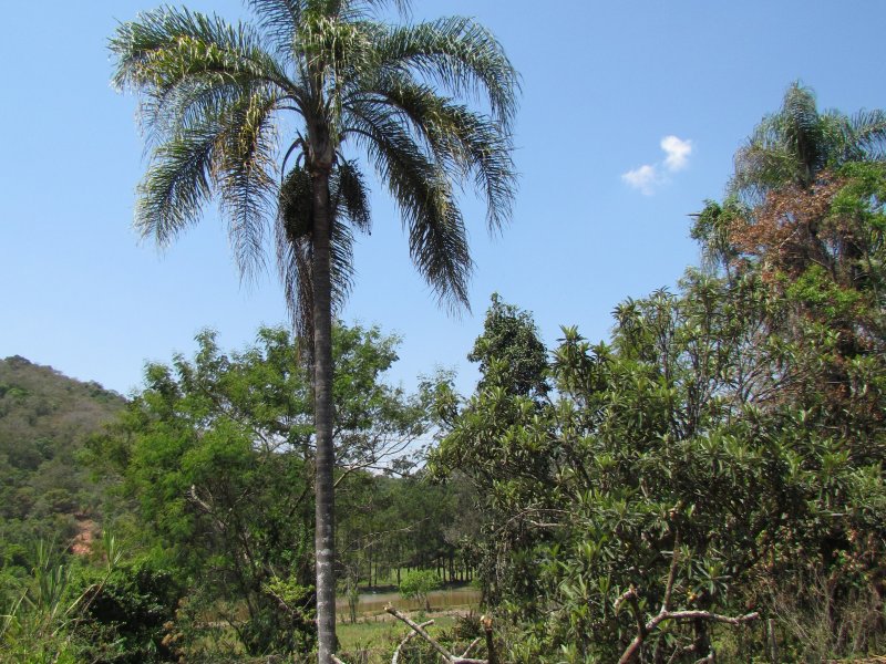 imóvel com 2000m² - Mascates - Nazaré Paulista