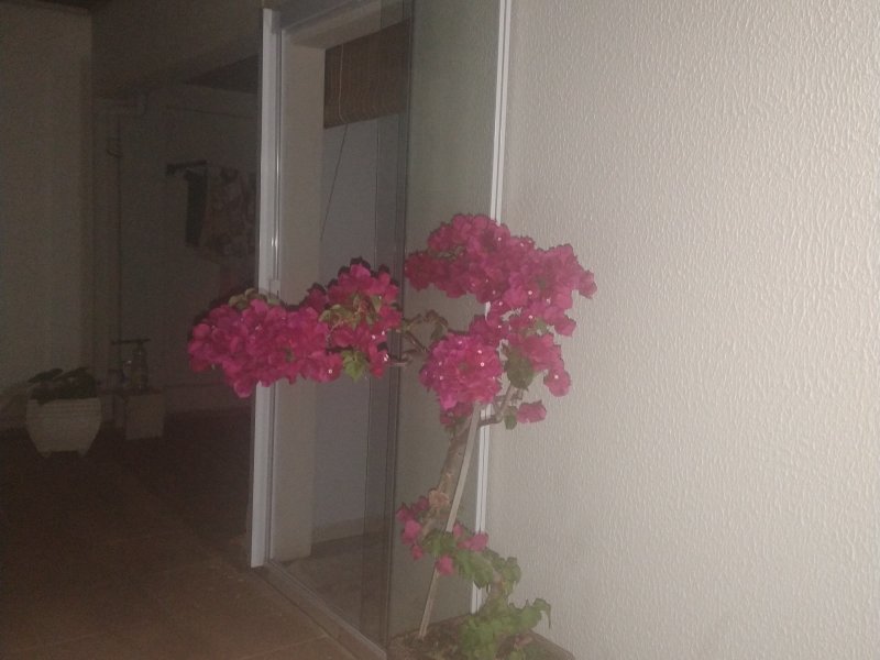 Cobertura à venda São Bernardo com 120m² e 3 quartos por R$ 350.000 - 832551992-inbound8987980177003095741.jpg