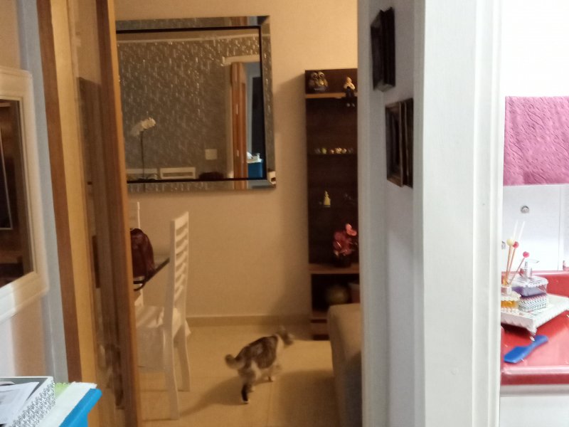 Apartamento à venda Parque São Jorge com 75m² e 3 quartos por R$ 450.000 - 1203500348-20200303-185206.jpg