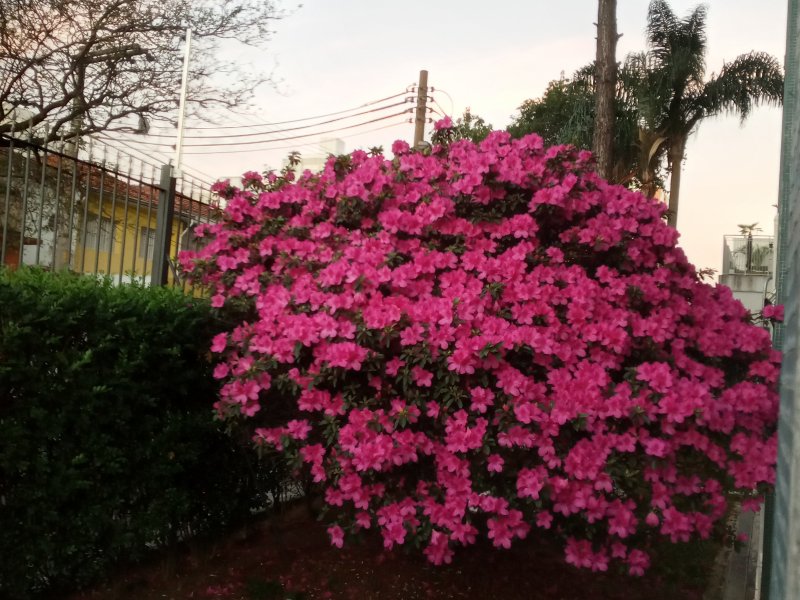 Apartamento à venda Parque São Jorge com 75m² e 3 quartos por R$ 450.000 - 545495914-20200723-064004.jpg
