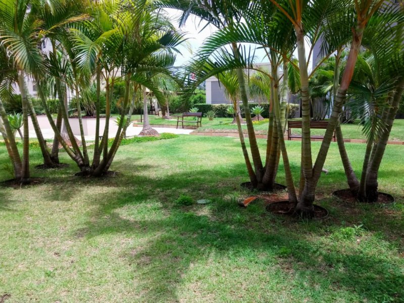 Apartamento à venda Chácara Primavera com 77m² e 3 quartos por R$ 580.000 - 61596077-espaco-verde.jpeg