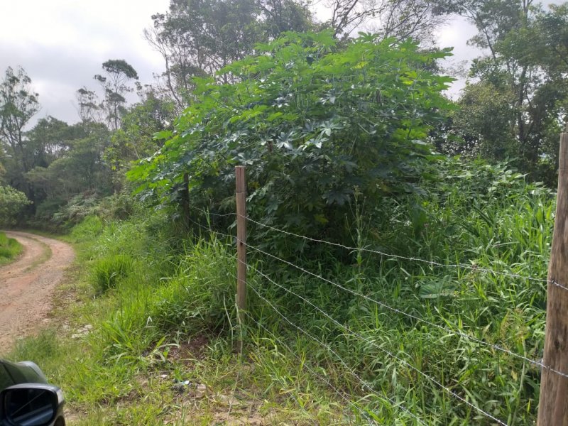 Terreno à venda Santa Luzia com 9146m² e  quartos por R$ 700.000 - 139120151-whatsapp-image-2020-11-28-at-15.jpeg