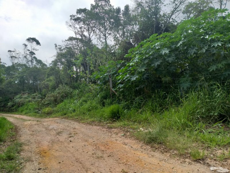 Terreno à venda Santa Luzia com 9146m² e  quartos por R$ 700.000 - 2144595596-whatsapp-image-2020-11-28-at-15.jpeg