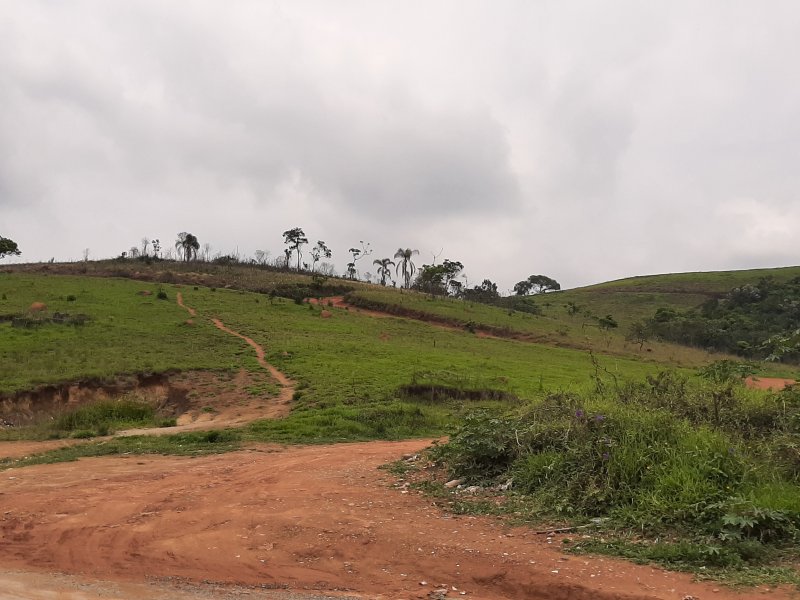 Terreno para alugar Clube dos Oficiais com 125m² e  quartos por R$ 50.000 - 245242028-20201112-112012.jpg