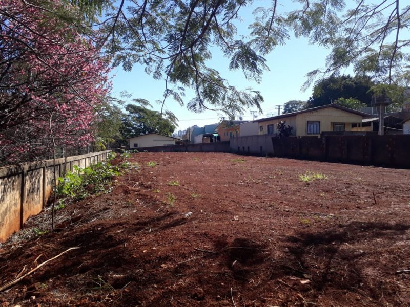 Terreno à venda Vila Operaria Stabile com 600m² e  quartos por R$ 280.000 - 880780597-whatsapp-image-2020-10-16-at-08.jpeg