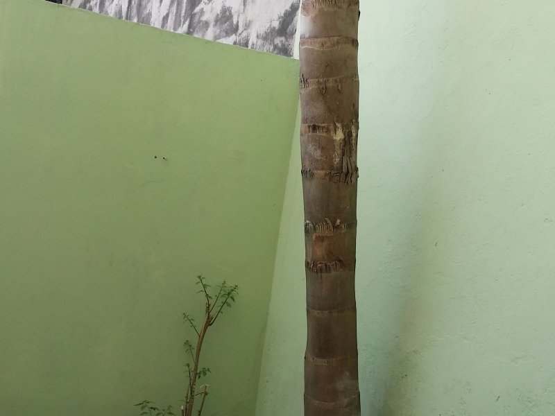 imóvel com 240m² - Jardim Prestes de Barros - Sorocaba