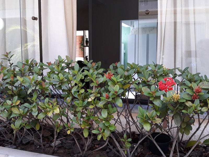 imóvel com 86m² - Vila Formosa - São Paulo