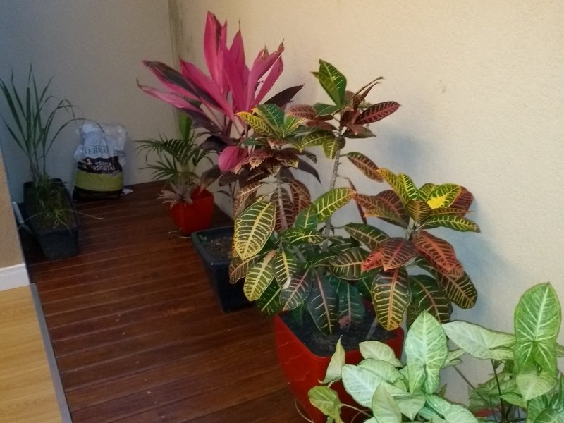 Apartamento à venda Jardim Torino com 86m² e 2 quartos por R$ 420.000 - 1968672765-img-20200826-180214893.jpg