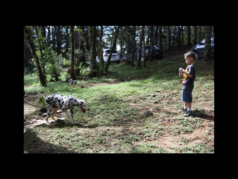 imóvel com 150m² - Parque Ferradura - Campos do Jordão