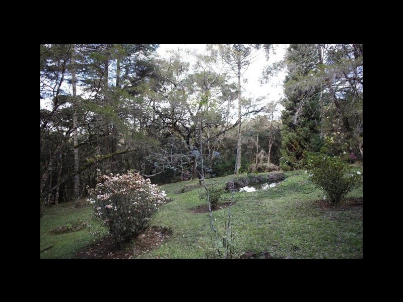 imóvel com 150m² - Parque Ferradura - Campos do Jordão
