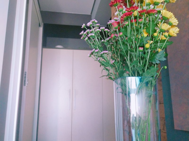 imóvel com 75m² - Ressacada - Itajaí