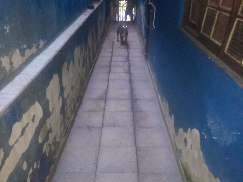 Casa para alugar Jardim Camargo Novo com 125m² e 3 quartos por R$ 320.000 - 1741226422-cfa9eb29-716f-4313-b8b1-e1469aa8da20.jpg