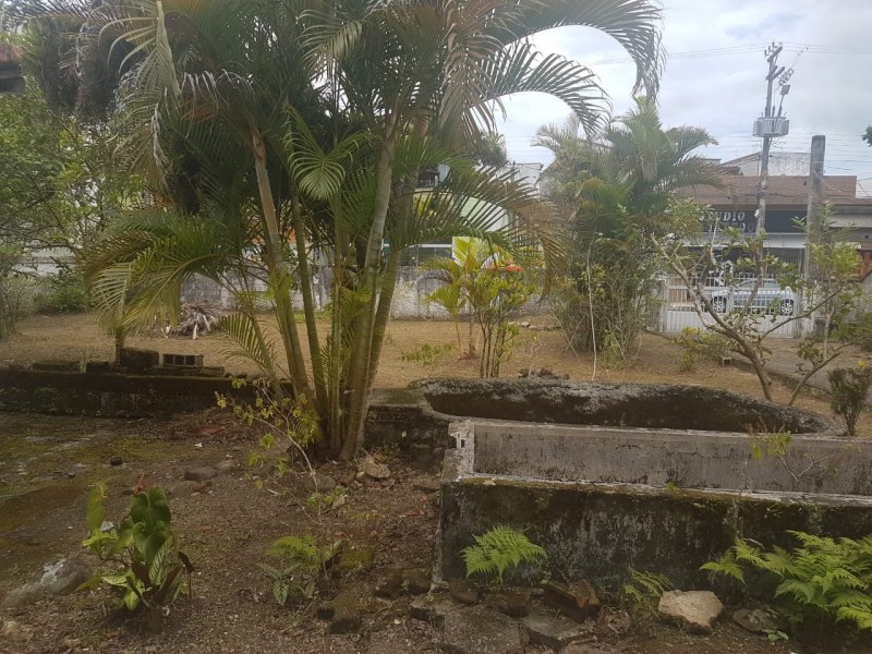 Casa à venda Centro com 1000m² e 3 quartos por R$ 1.200.000 - 2024936113-de613349-3b1c-4a63-96a6-79223031212c.jpg