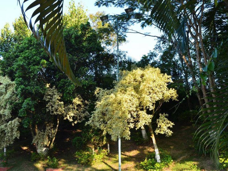 Chácara para alugar Chácaras Guanabara com 2000m² e 12 quartos por R$ 25.000 - 420555856-12933073-780080132123339-4351827651421928782-n.jpg