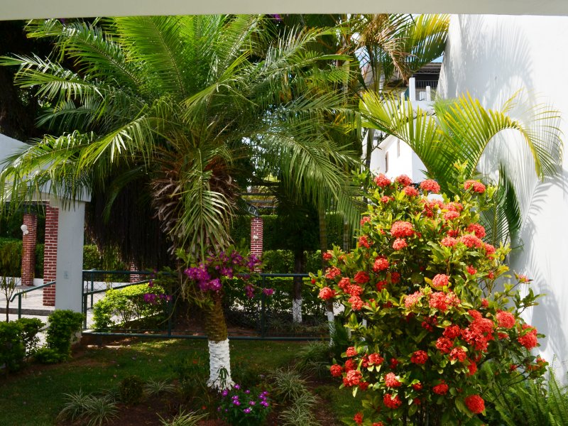 Chácara para alugar Chácaras Guanabara com 2000m² e 12 quartos por R$ 25.000 - 710451526-dsc-0141.JPG