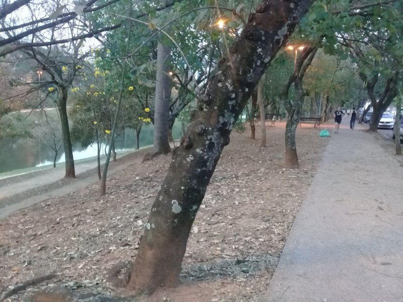 Terreno à venda Parque Campolim com 480m² e  quartos por R$ 750.000 - 134861630-lote-andrews8.jpg