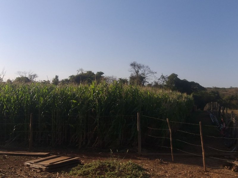 Chácara à venda Parque das Nações com 59000m² e 3 quartos por R$ 1.200.000 - 2125414142-2b6a3193-98b7-4ab6-9d5c-a403233b4ea9.jpg