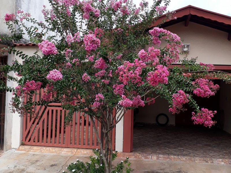 Casa à venda Santa Rosa com 178m² e 3 quartos por R$ 320.000 - 1070339745-20190108-144759.jpg
