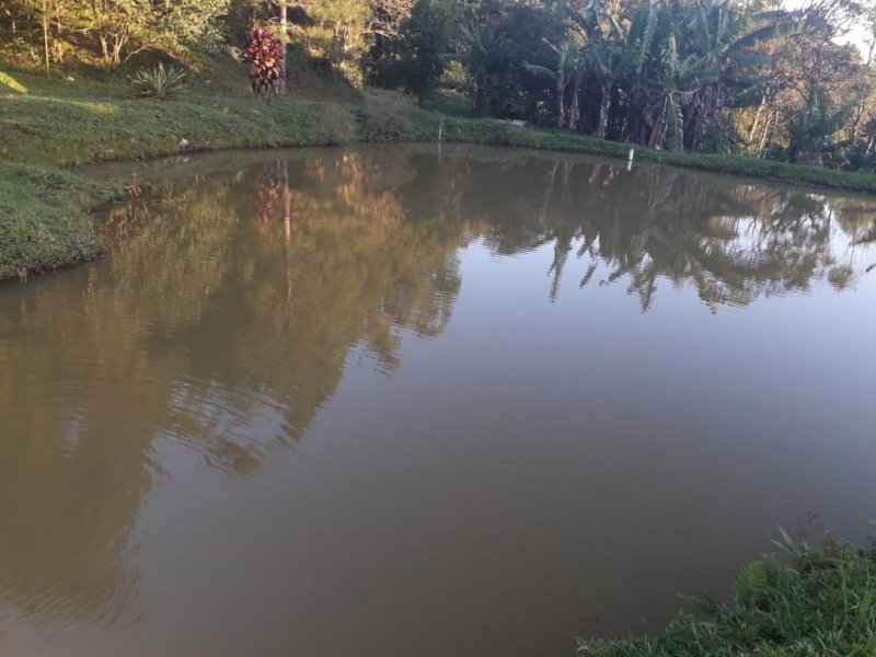 Sítio à venda Rossi com 302000m² e 3 quartos por R$ 1.350.000 - 116735173-118726349-4919085328108919-1416091606493279848-o.jpg