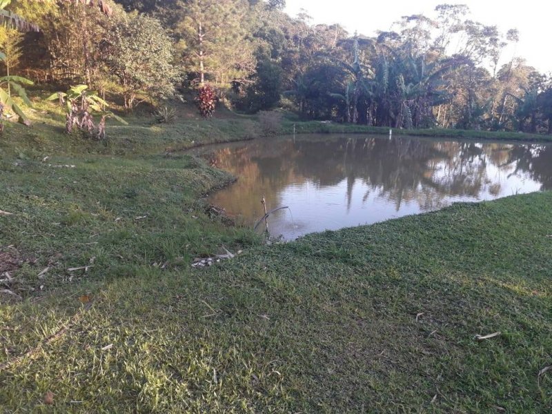 Sítio à venda Rossi com 302000m² e 3 quartos por R$ 1.350.000 - 1207630470-118723664-4919084791442306-6520849200766906989-o.jpg