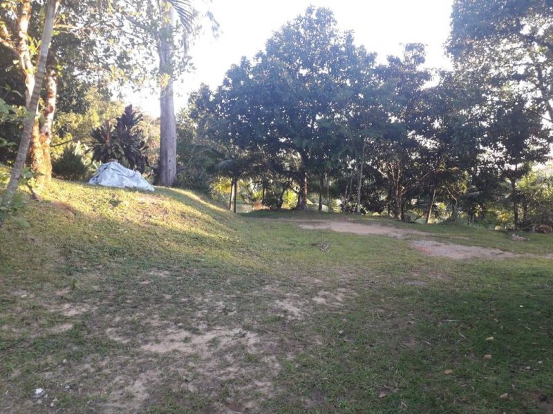 Sítio à venda Rossi com 302000m² e 3 quartos por R$ 1.350.000 - 1251684670-118680100-4919085068108945-4900058019192674693-o.jpg