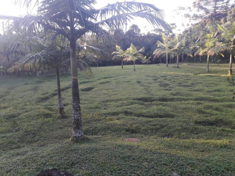 Sítio à venda Rossi com 302000m² e 3 quartos por R$ 1.350.000 - 1458326450-118654478-4919084991442286-2022724730898444549-o.jpg