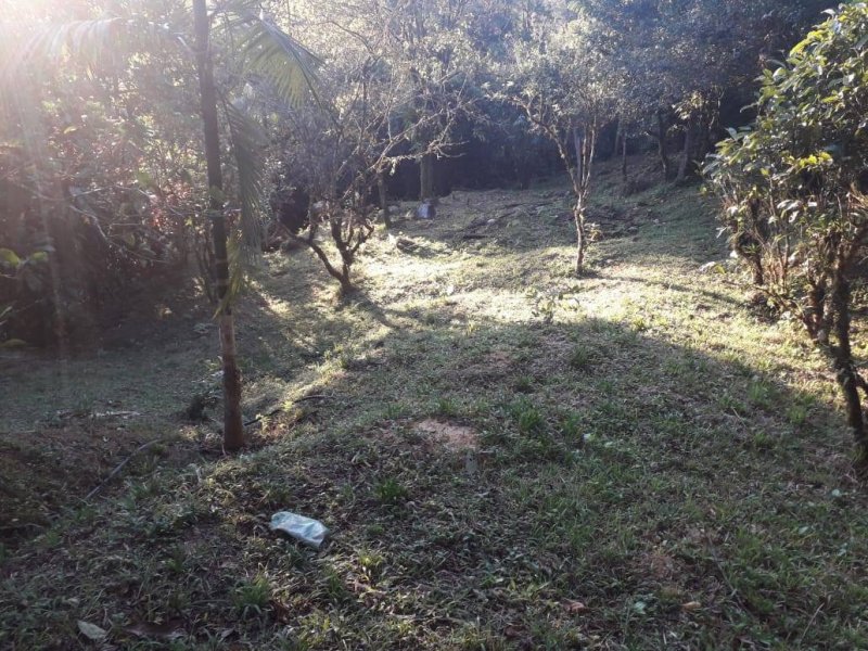Sítio à venda Rossi com 302000m² e 3 quartos por R$ 1.350.000 - 1493341458-118735518-4919084721442313-8074242985875414840-o.jpg
