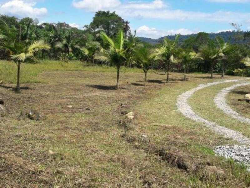 Sítio à venda Rossi com 302000m² e 3 quartos por R$ 1.350.000 - 1559736234-118518498-4919084814775637-6905377319726664392-o.jpg
