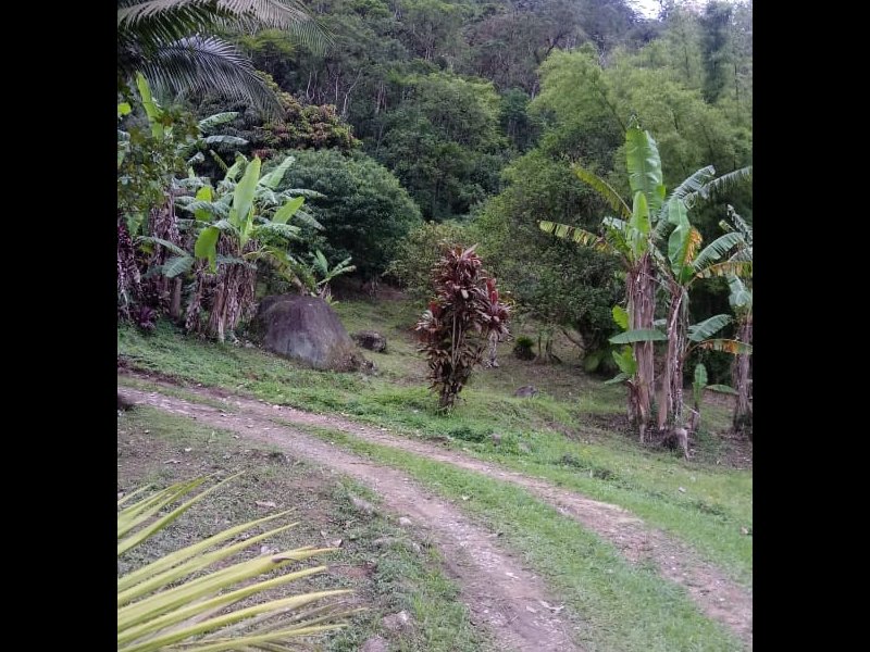 Sítio à venda Rossi com 302000m² e 3 quartos por R$ 1.350.000 - 1686119251-e51d758a-9f91-4731-af82-c007f9d5003b.jpg