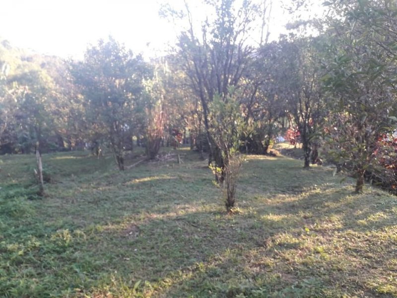 Sítio à venda Rossi com 302000m² e 3 quartos por R$ 1.350.000 - 1872325329-118761776-4919084798108972-1981276225515757753-o.jpg