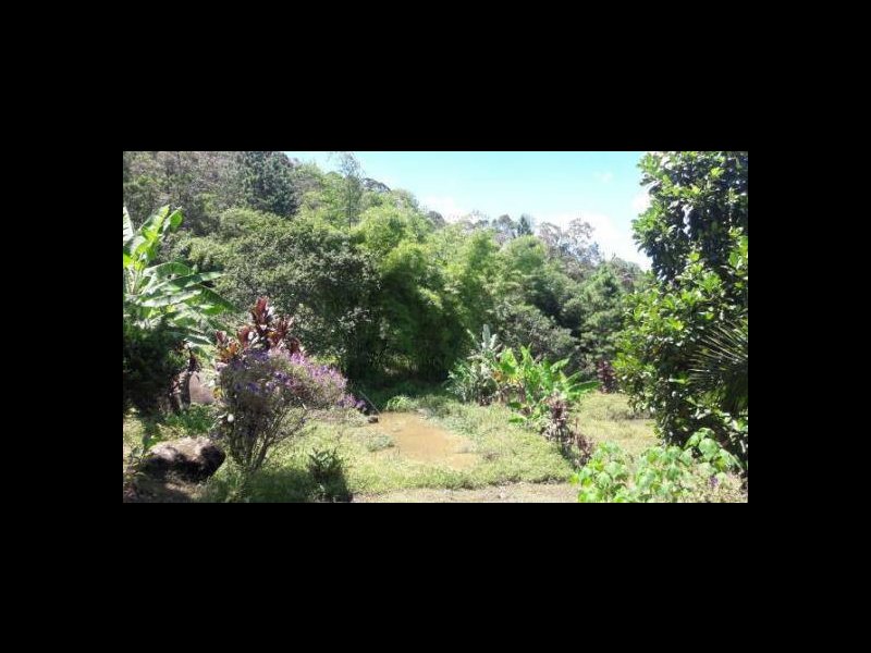 Sítio à venda Rossi com 302000m² e 3 quartos por R$ 1.350.000 - 1963741292-118703121-4919084374775681-8334363773905948-n.jpg