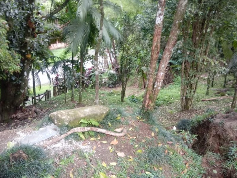 Sítio à venda Rossi com 302000m² e 3 quartos por R$ 1.350.000 - 224849488-2fbb9495-e3fd-46ff-b252-e60f2306cbae.jpg