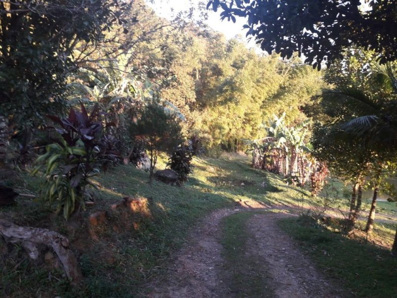 Sítio à venda Rossi com 302000m² e 3 quartos por R$ 1.350.000 - 228330134-118649105-4919085128108939-6267314797512759537-o.jpg