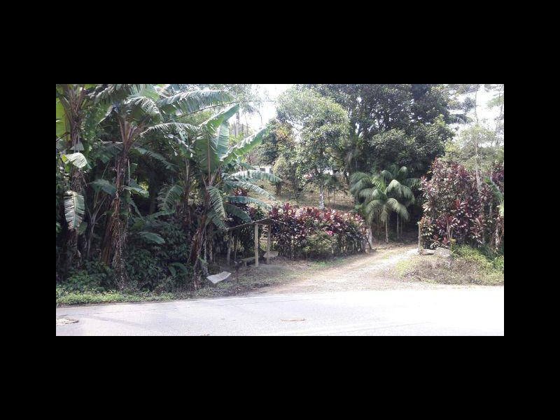 Sítio à venda Rossi com 302000m² e 3 quartos por R$ 1.350.000 - 412511627-118762704-4919084784775640-675939967322294317-n.jpg