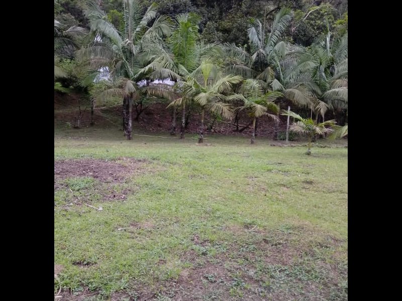 Sítio à venda Rossi com 302000m² e 3 quartos por R$ 1.350.000 - 639307804-a26c1a11-881d-45ba-b193-82d28ae7ee25.jpg